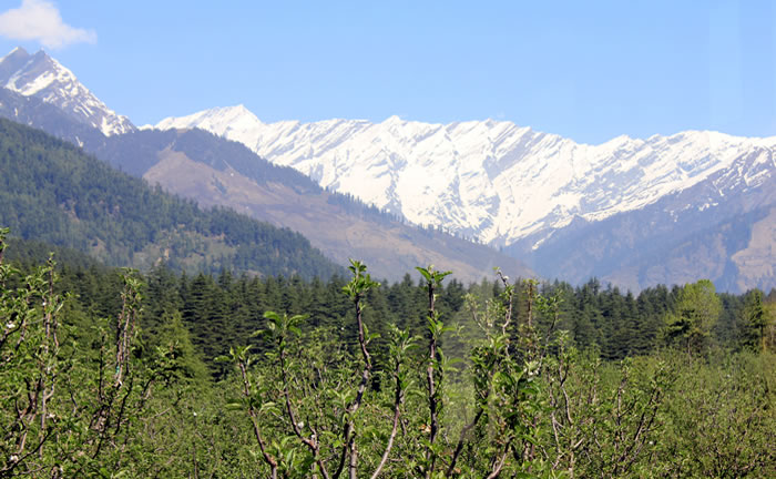 View from Himalayan Vista Cottage